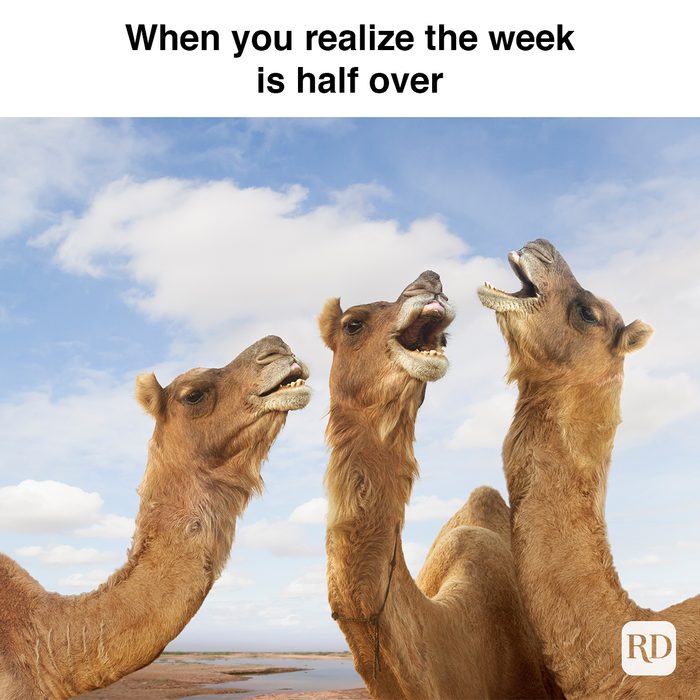 When You Realize The Week Is Half Over