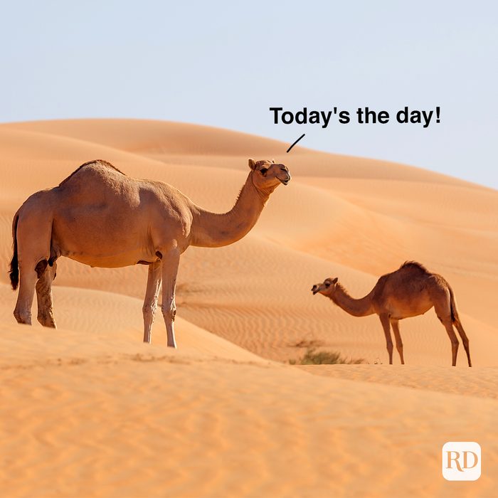 Today's The Day