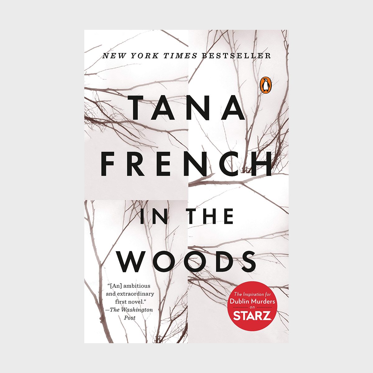 In The Woods By Tana French