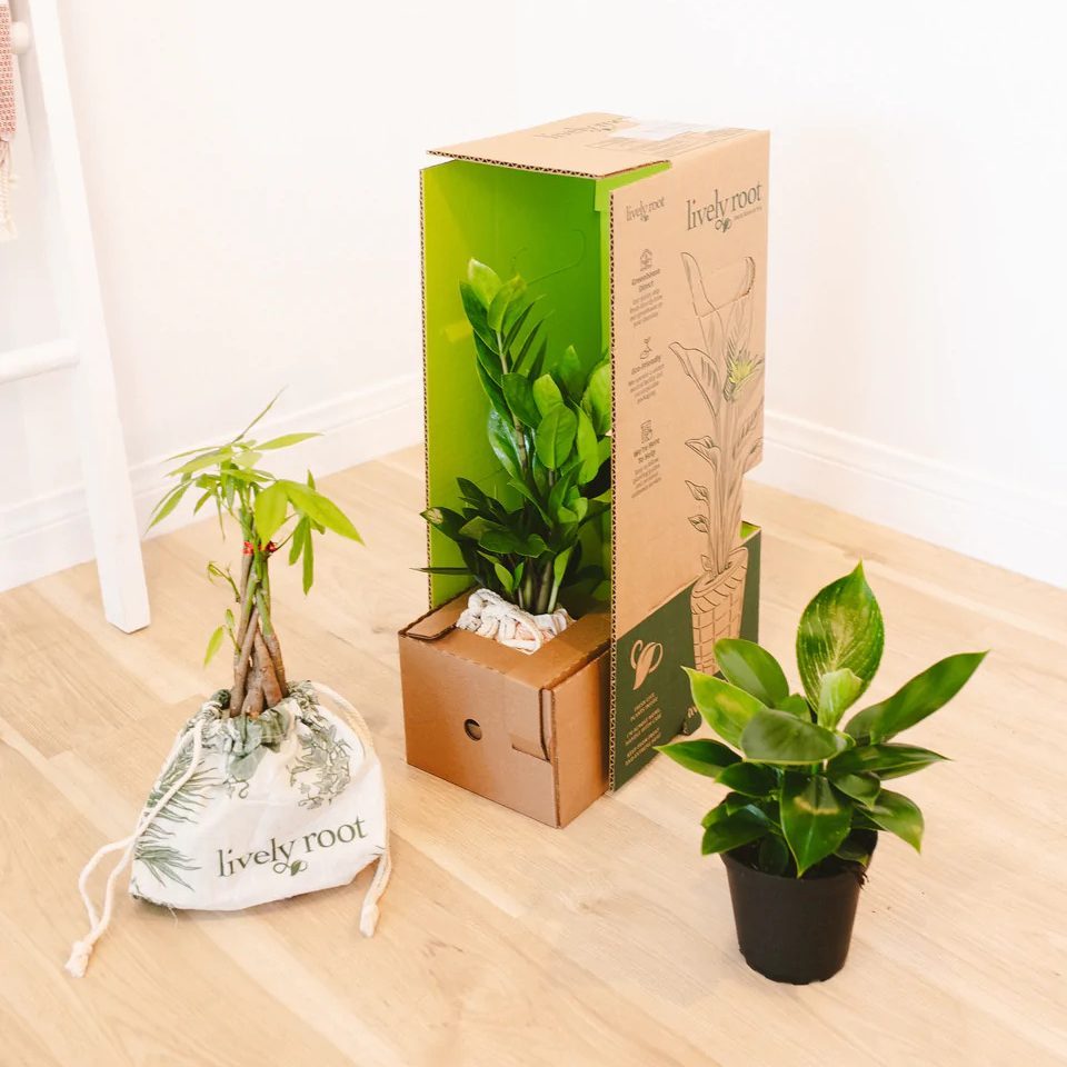 Quarterly Plant Subscription Ecomm Via Livelyroot.com