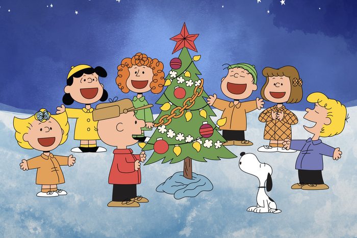 The Peanuts Special Cartoon