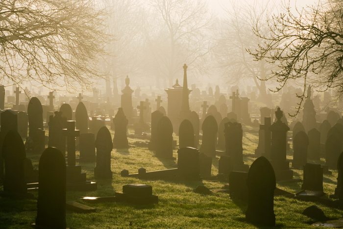 Misty Cemetery during sunset