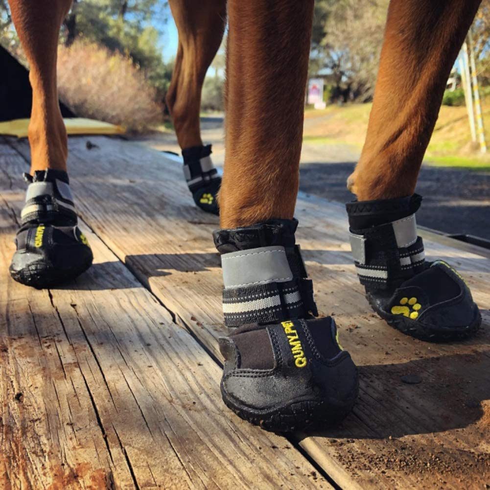 Qumy Dog Boots 