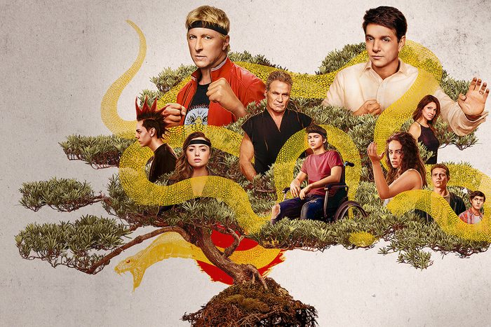 Cobra Kai Tv Show