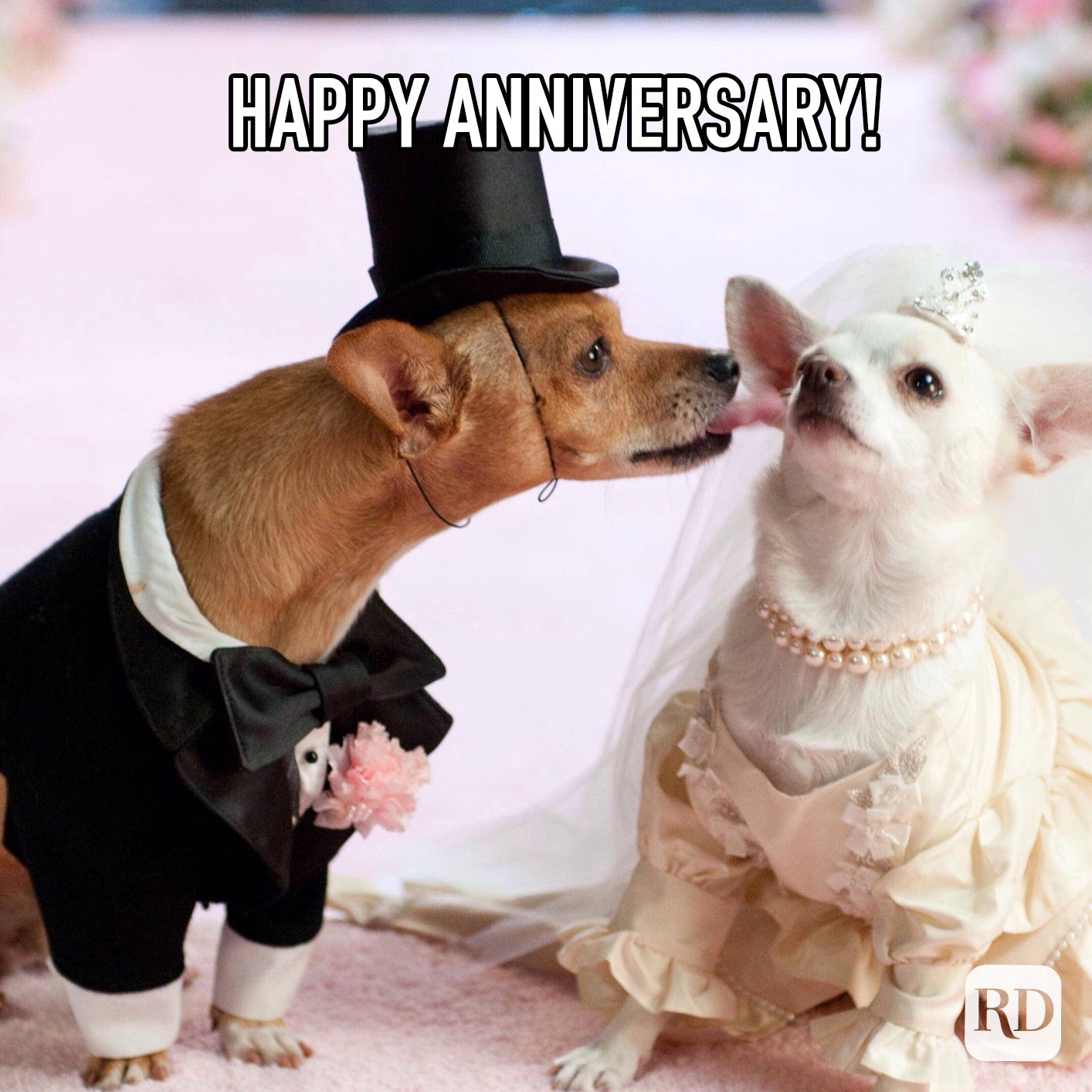 Happy Anniversary Meme