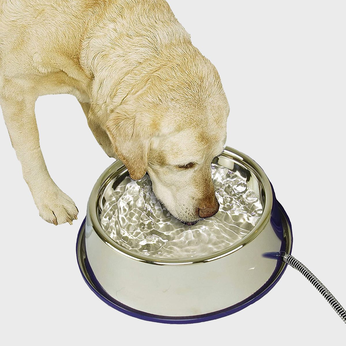 K&h Pet Products Heated Water Bowl Ecomm Via Amazon.com