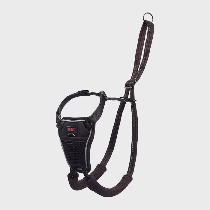 Dog harness hanging against a white background; features adjustable straps and a mesh chest piece. The word 
