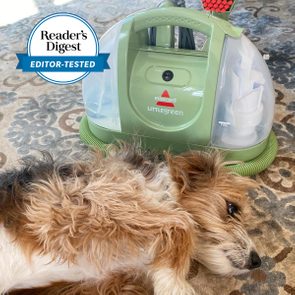 Green carpet cleaner resting, next to a fluffy dog lying on a patterned rug with Reader's Digest 