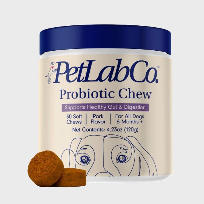 Container holds PetLabCo Probiotic Chews, promoting healthy digestion for dogs. Features pork flavor, 30 soft chews, suitable for dogs over six months.