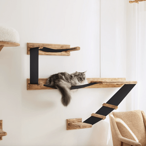 Cat resting on wooden wall-mounted shelves with black climbing straps, set against a white wall near a textured chair, in a cozy room.