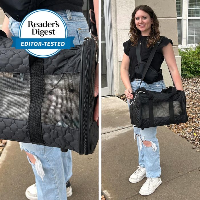 A woman carries a black pet carrier containing a small dog beside a building. A 