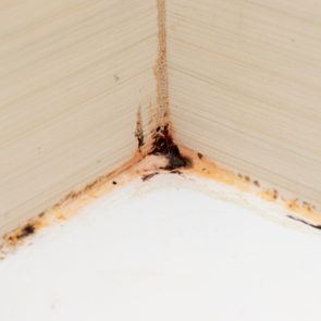 Mold grows at the corner of a bathroom wall, visible on the silicone sealant between tiles, showing discoloration in a damp environment.