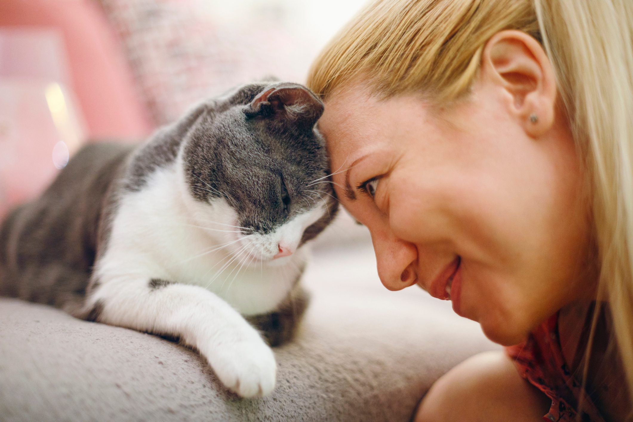 Do Cats Like Baby Talk? The Answer May Surprise You.