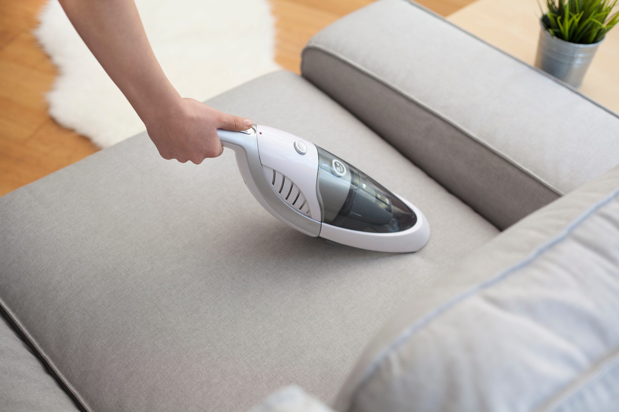 How to Clean a Couch: Pro Cleaning Tips For Every Type of Couch