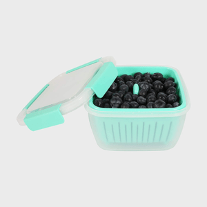 Container holds blueberries with lid open, set against a plain background.