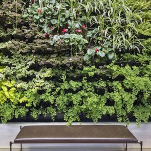 Bench sits beneath lush vertical garden with various green plants interspersed with small red flowers, creating a natural, serene indoor environment.