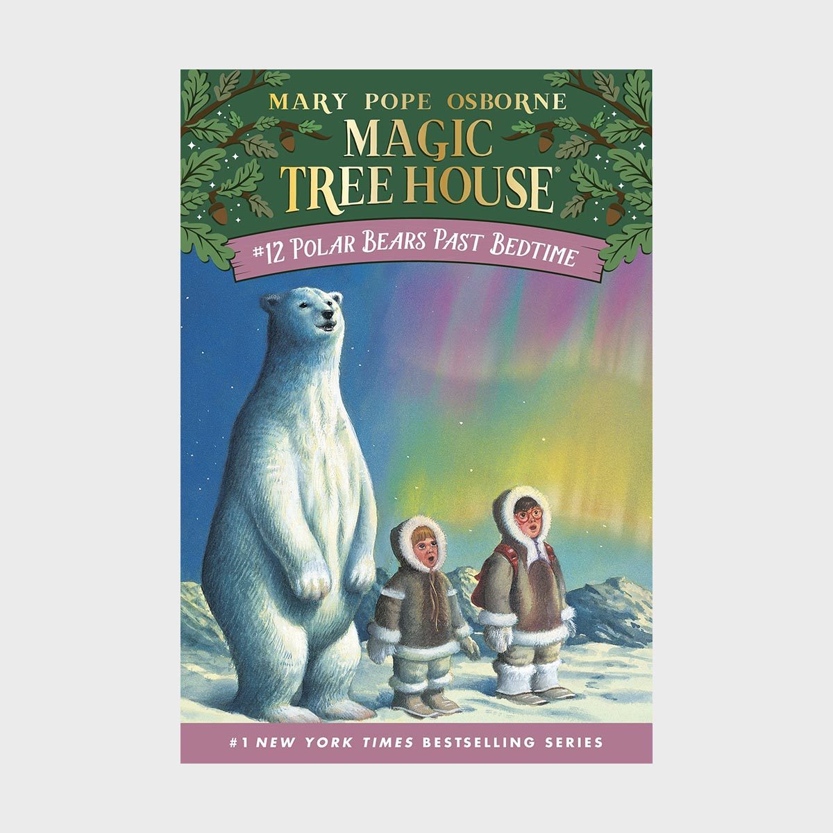 Magic Tree House 12