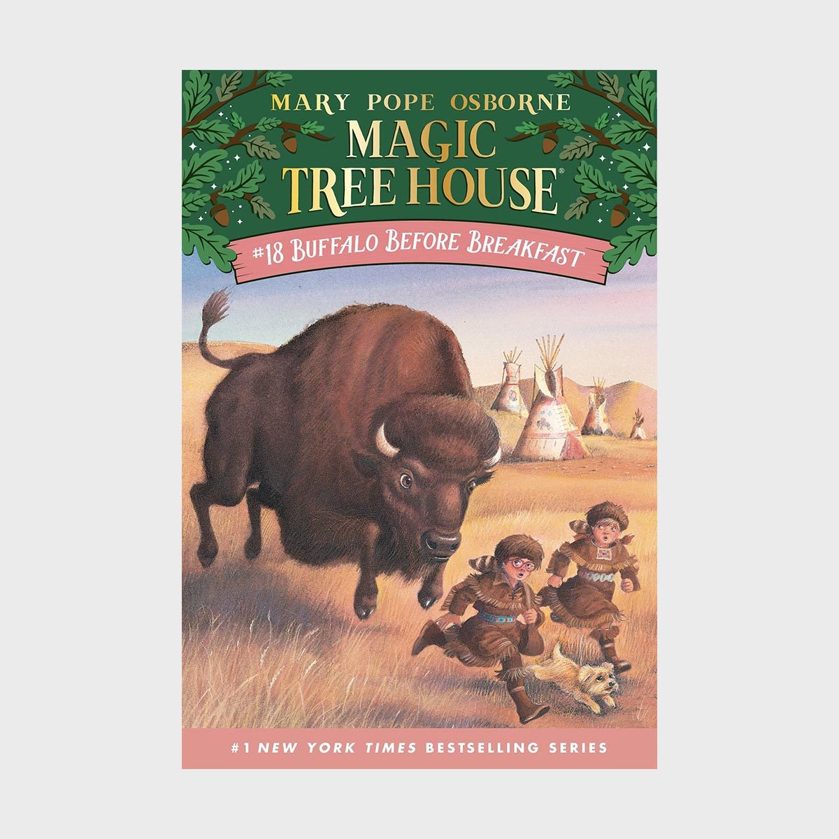 Magic Tree House 18