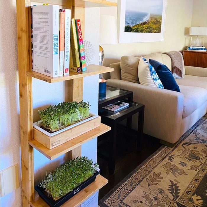 Hamana Grow Shelf