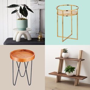 A collage shows plant stands; a white arched stand, golden cylindrical stand, wooden tabletop with black legs, and wall-mounted shelves with plants.