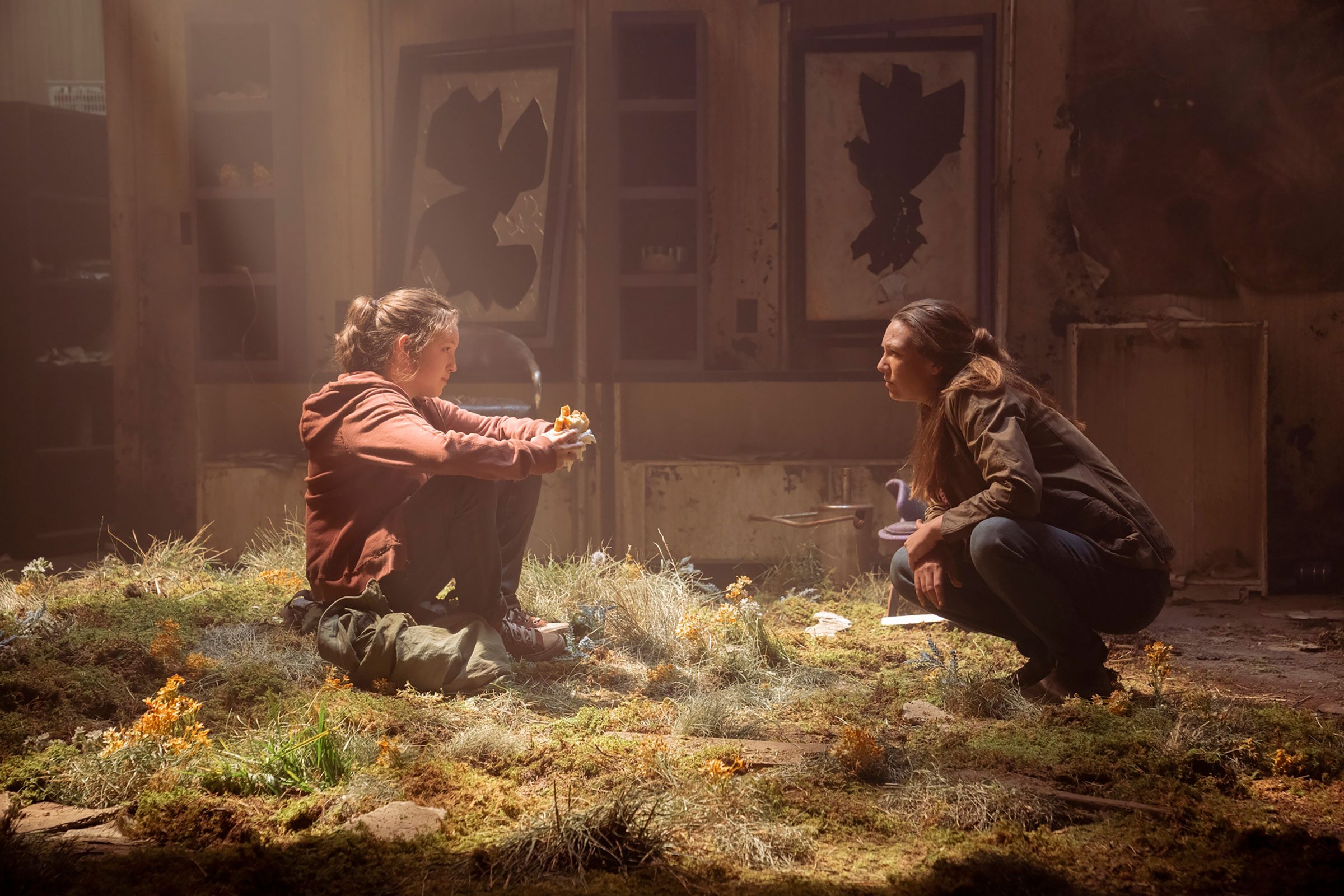 Is ‘The Last of Us’ Fungus Real?