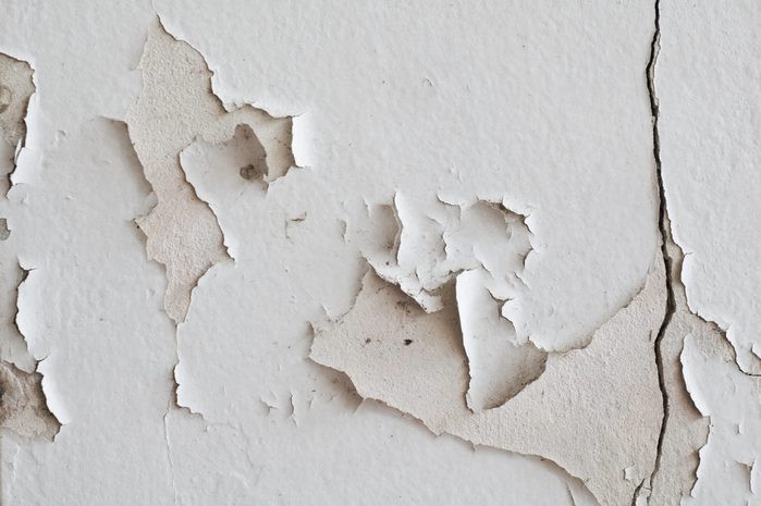 Paint peeling off wall