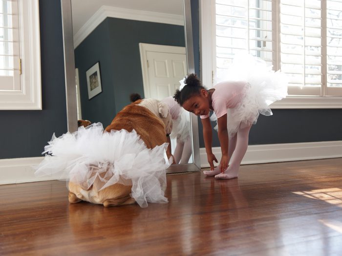 Girl In Tutu Showing Stretches To Bulldog