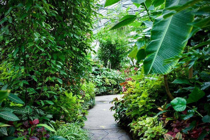 Allan Gardens