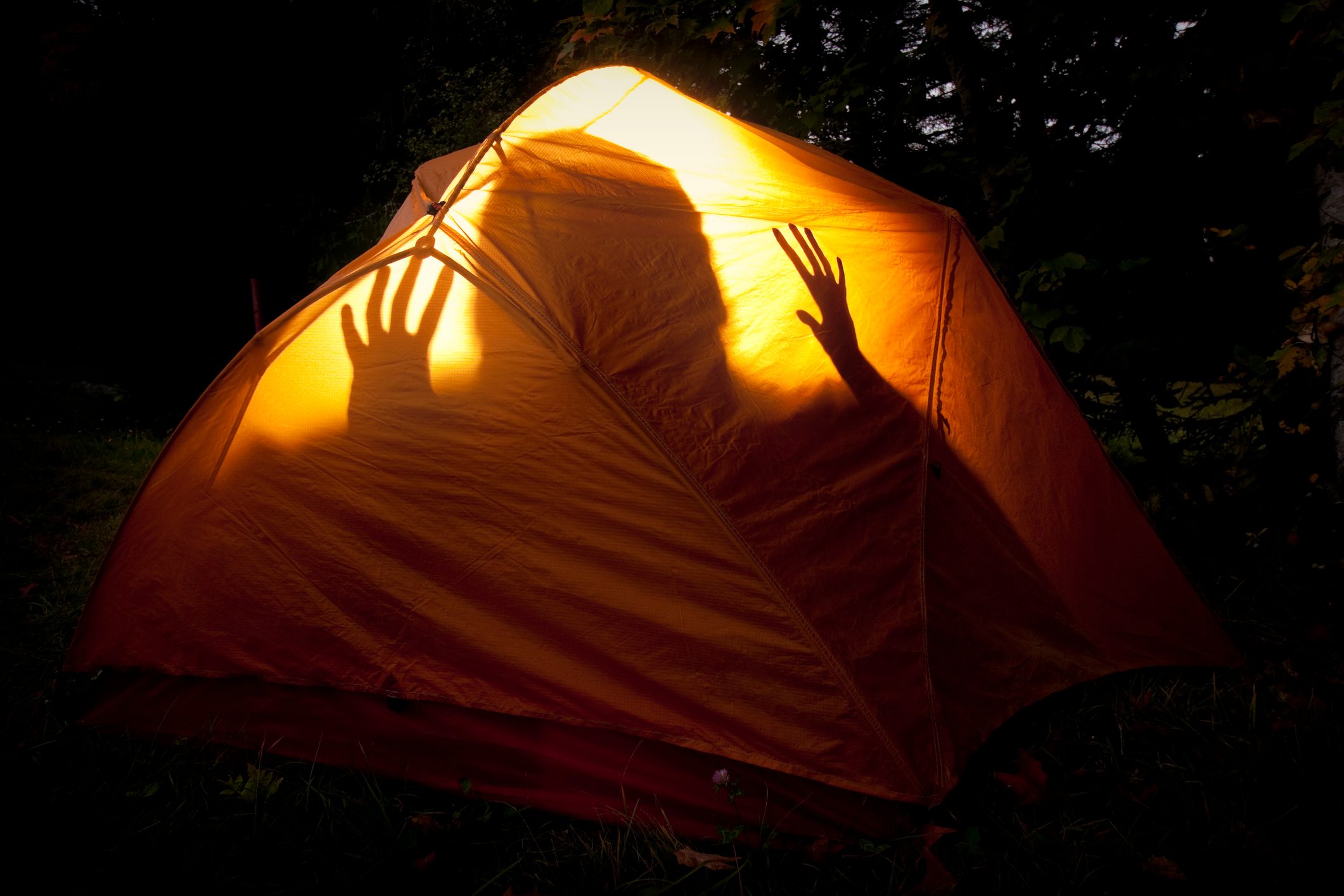 Boogie Monster in the Tent