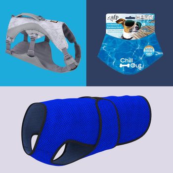 Pet accessories displayed; a gray harness, a cooling bandana with text "Chill Out," and a blue cooling vest on colored backgrounds.