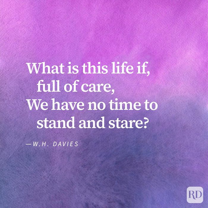 20 Powerful Poems About Life That Will Change How You See The World 10