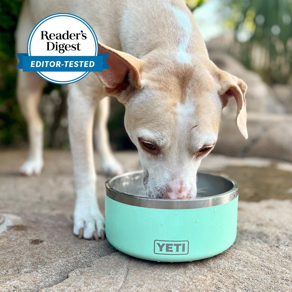 Yeti Boomer Dog Bowl