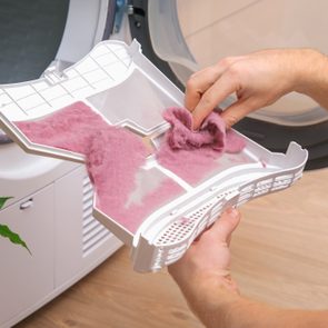 Hands clean lint from a dryer filter, surrounded by a potted plant and wooden floor.