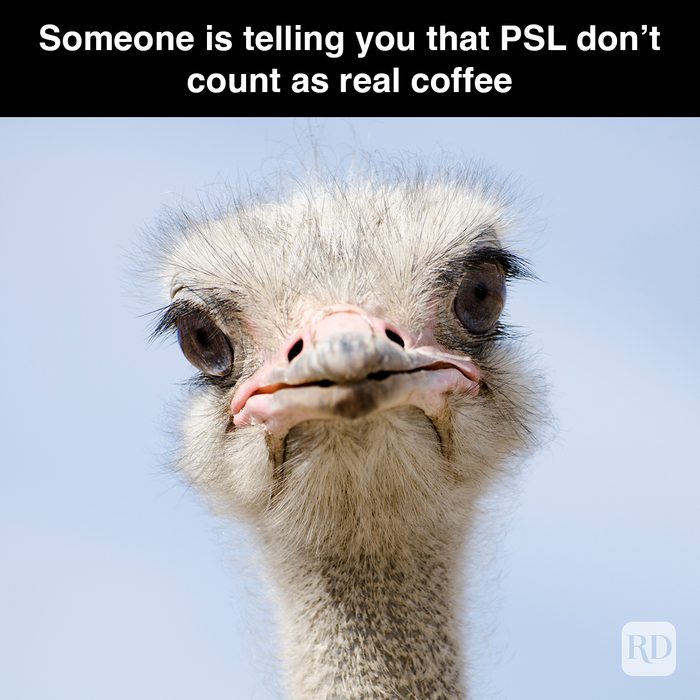 32 Pumpkin Spice Memes You Willl Totally Fall For 12