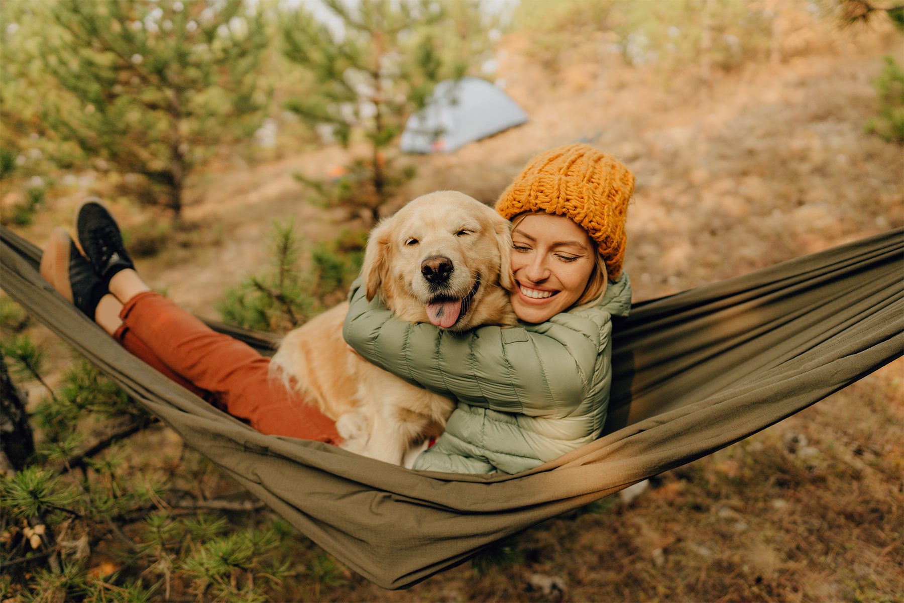 Person and dog relax in hammock, surrounded by pine trees, with a tent visible in the background, on a sunny day.