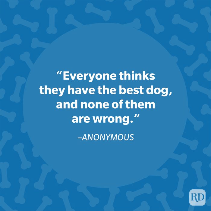 Anonymous dog quote