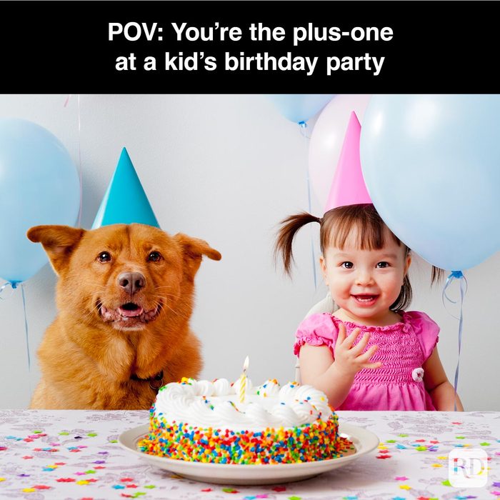 40 Smiling Dog Memes That Will Make Everything Better On A Bad Day