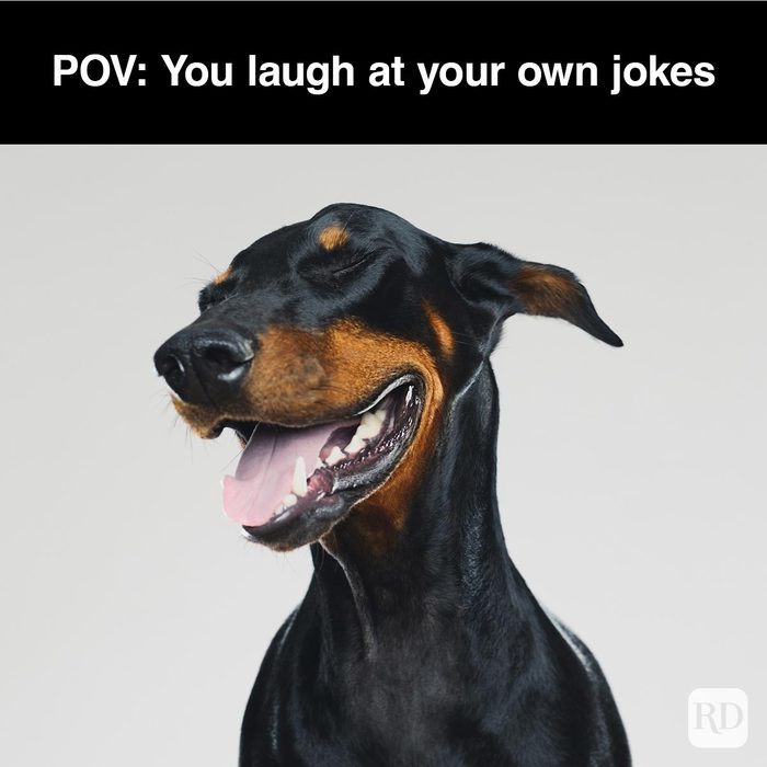 40 Smiling Dog Memes That Will Make Everything Better On A Bad Day