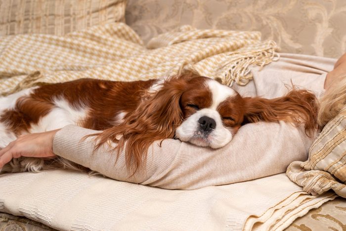 Dog and woman relaxing