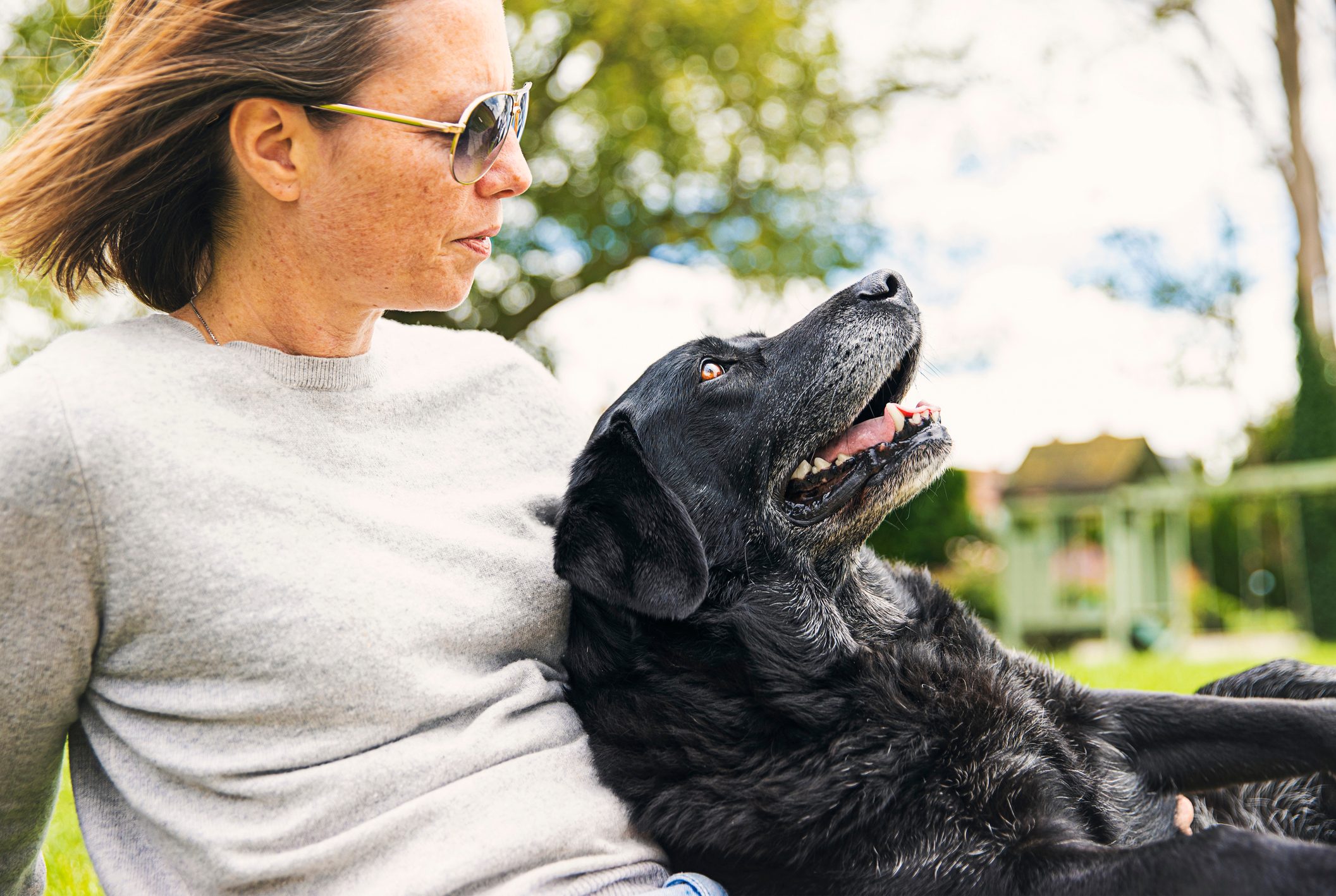 A black dog lies relaxed in a woman's lap, outdoors, under a sunny sky with trees in the background.