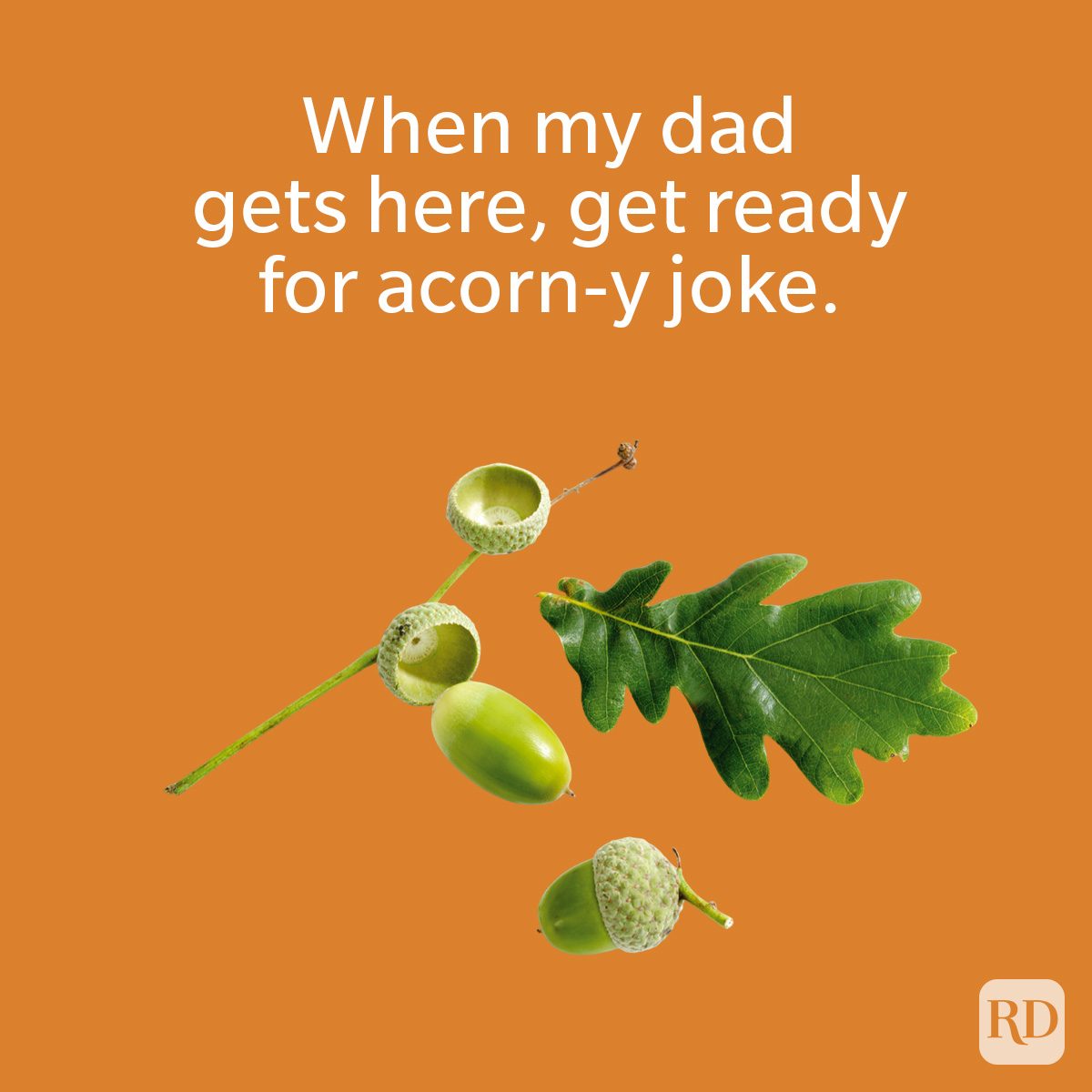 Acorns and a green leaf rest on an orange background with text saying, "When my dad gets here, get ready for acorn-y joke."