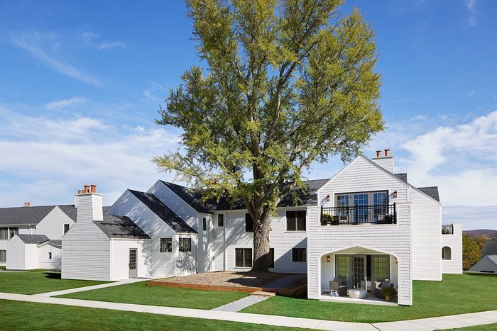 A large tree stands prominently in front of a two-story white house with black roofs, set against a clear blue sky.