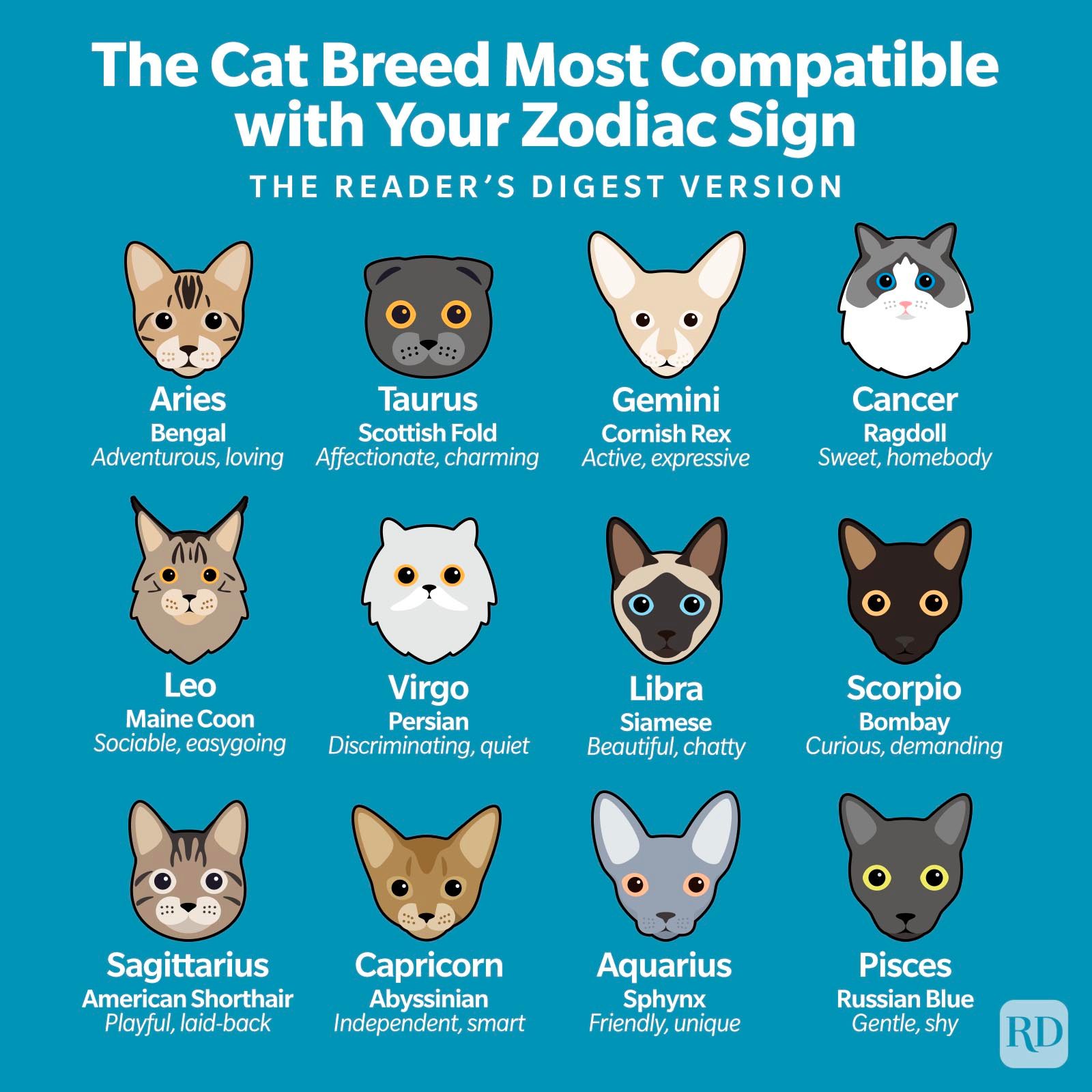 Cat illustrations pair with zodiac signs, detailing compatible breeds and traits, such as adventurous Bengal for Aries or independent Abyssinian for Capricorn.