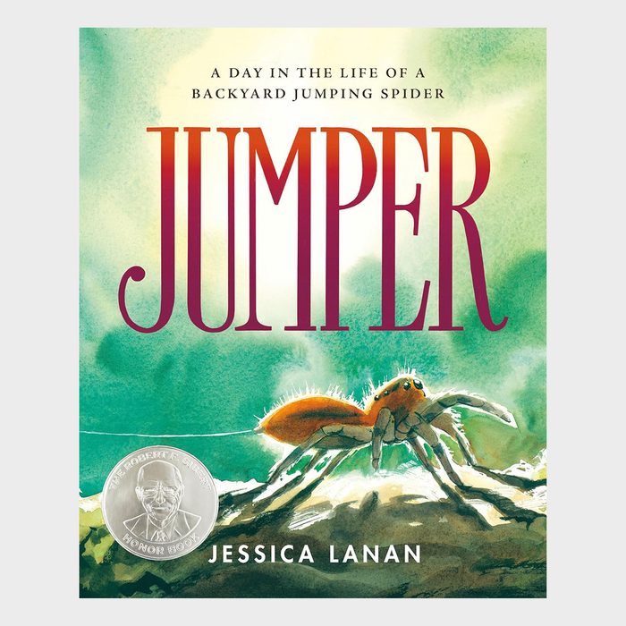 Spider stands still on rocks, surrounded by green, cloudy sky. Text: â€œA DAY IN THE LIFE OF A BACKYARD JUMPING SPIDER. JUMPER. JESSICA LANAN.â€ Silver award sticker.