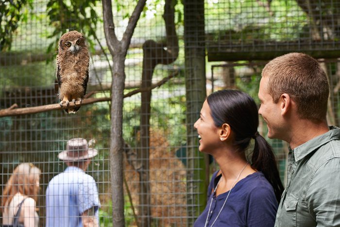 110 Romantic And Fun Date Ideas To Spark A Connection - couple at a zoo