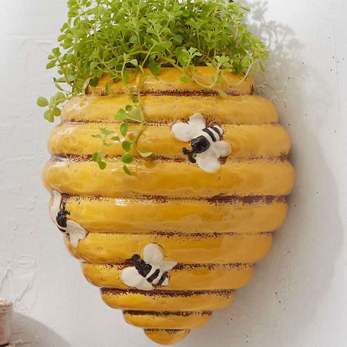 Bee Hive Wall Planter