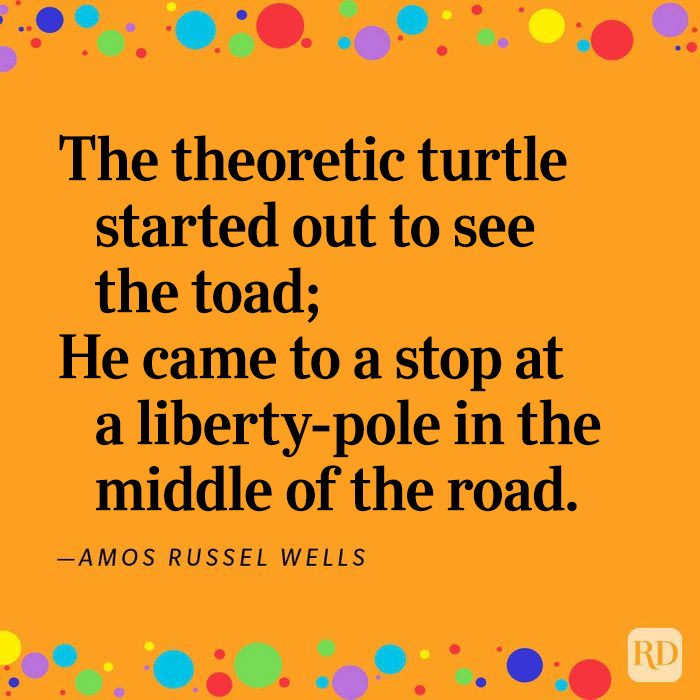 Funny Poems That Will Perk Up Your Day